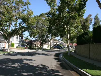 Homes in Cerritos along a curved road